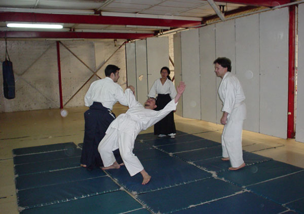 Aikido técnicas