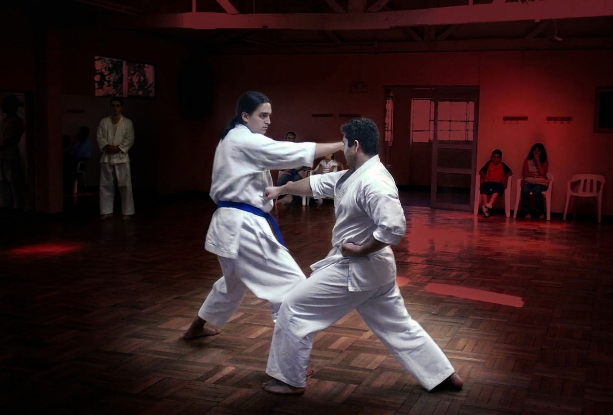 Entrenamiento de Karate y Aikido en Budoka